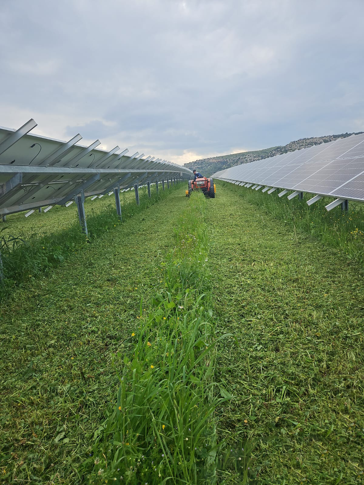 impresa edile angelino